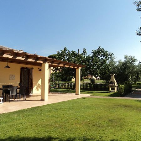 Agriturismo Dallolivo Bolgheri Eksteriør bilde