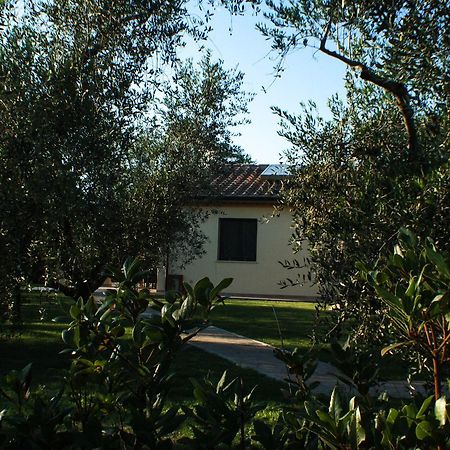 Agriturismo Dallolivo Bolgheri Eksteriør bilde