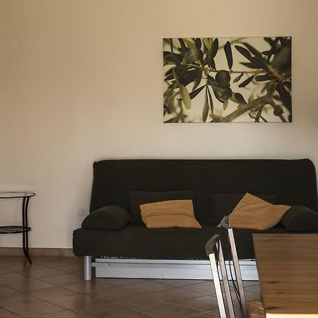 Agriturismo Dallolivo Bolgheri Eksteriør bilde