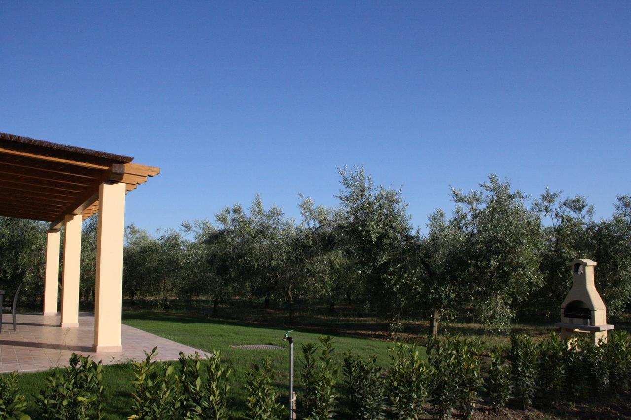Agriturismo Dallolivo Bolgheri Eksteriør bilde
