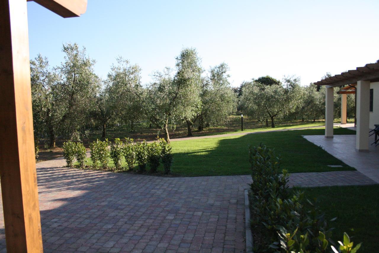 Agriturismo Dallolivo Bolgheri Eksteriør bilde