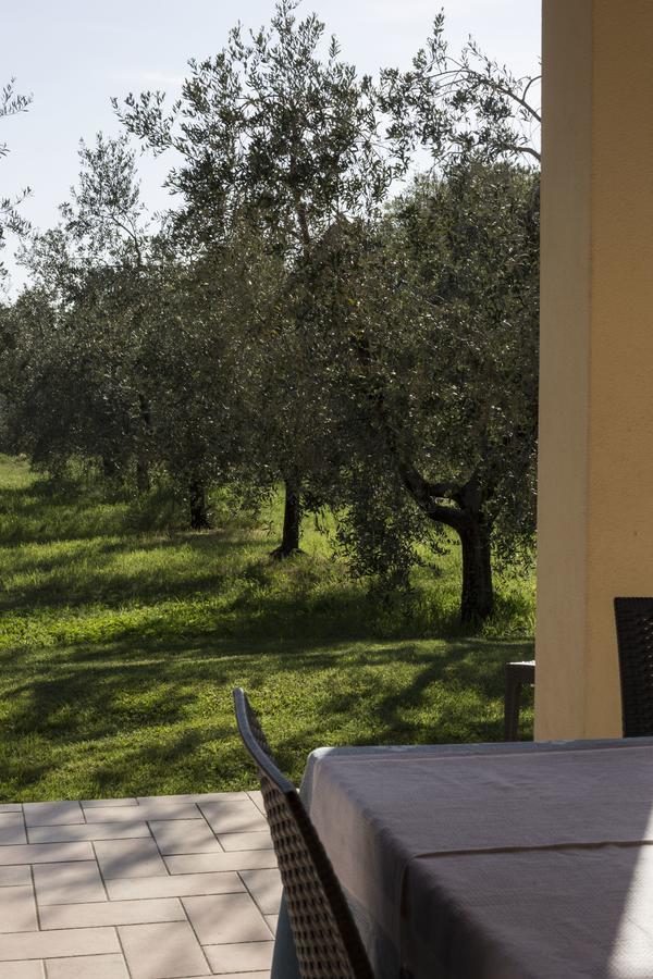 Agriturismo Dallolivo Bolgheri Eksteriør bilde