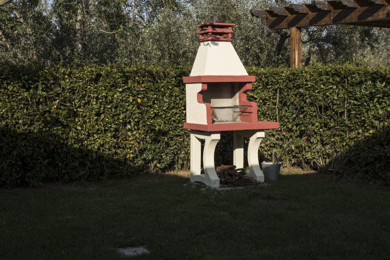 Agriturismo Dallolivo Bolgheri Eksteriør bilde